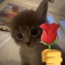 CE_Flowers4u