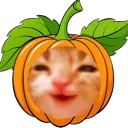 PumpkinDopey PumpkinDopey