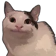 smilecat