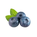 h_Blueberry