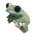 j_froggie