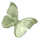 j_greenbutterfly