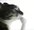thinkingcat