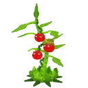 pvb_tomatotrio
