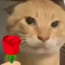 Rose Rose