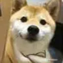 bkl_kutta