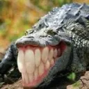 smile