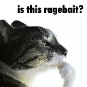 is_this_ragebait
