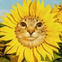 zazunflower Discord emoji