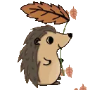2025sept_hedgehog