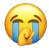 sob sob