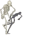 SkeletonPls