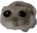 ohNo