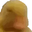 SMHing