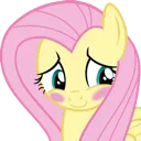 blushshy