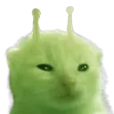 glorp
