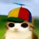 lalalameowl