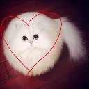 :emoji_10: :emoji_10: