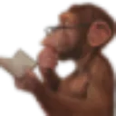 Monkey_Reading Monkey_Reading