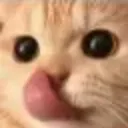 catyum