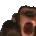 Chimpout