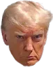 Trump_Mugshot