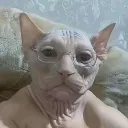grandpacat