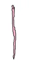 saintstick