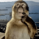 monkeythinking Discord sticker | COMMEZARS