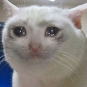 :sad: