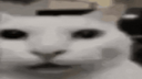 :maxresdefaultstare: