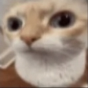 :mazen:
