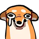 shibasobves