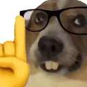dogesh