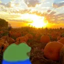 autumnlife