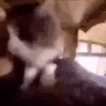Omg
