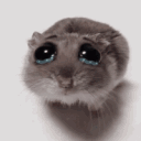 rat