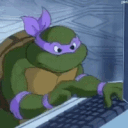 turtle