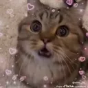 emoji_14