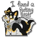 scruffy_the_husky_ask_5