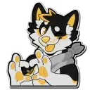 scruffy_the_husky_ask_7