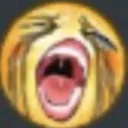 NO_PLEASE