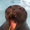 AAAAAAAAAAAAAAAAAAAAAAAAAAAAAAAA