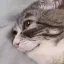 imtired