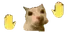 KazzyDance