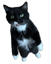 StandingCat Discord emoji