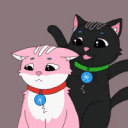 animcat