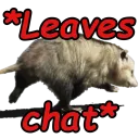 opossumleaving