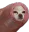 foreskindog