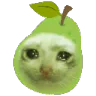 sadcatpear